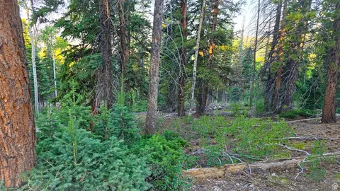 Undisclosed, Beaver, UT 84713 photo 3