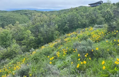 6000 E Old Snowbasin Rd, Huntsville, UT 84317
