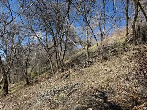 745 E Canyon Rd N, Logan, UT 84321 photo 14