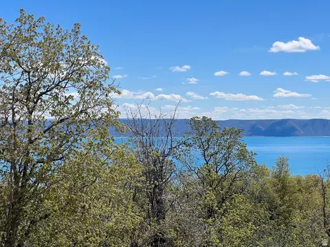 47 Juniper Dr #463, Fish Haven, ID 83287 photo 5
