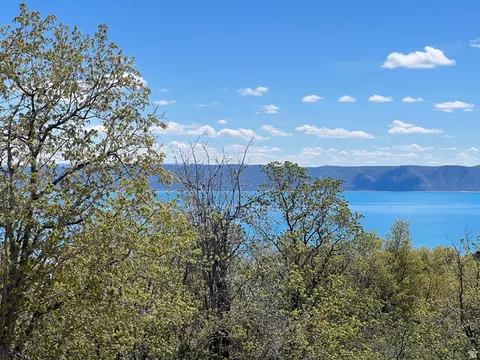 47 Juniper Dr #463, Fish Haven, ID 83287 photo 4