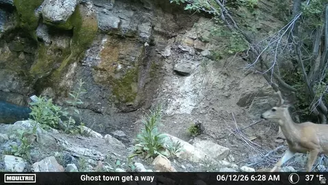 Other - 7500 Spring Canyon Rd, Helper, UT 84526 photo 23 of 56