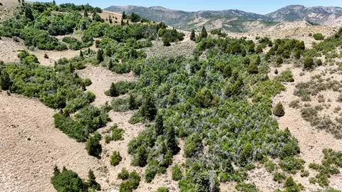 7500 Spring Canyon Rd, Helper, UT 84526 photo 57