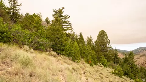 Other - 7500 Spring Canyon Rd, Helper, UT 84526 photo 44 of 56
