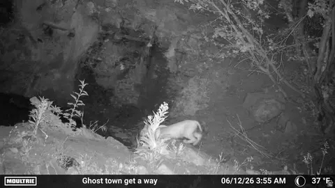 Other - 7500 Spring Canyon Rd, Helper, UT 84526 photo 22 of 56