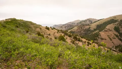 Other - 7500 Spring Canyon Rd, Helper, UT 84526 photo 42 of 56