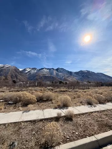 1664 N Dean Ct #5, Alpine, UT 84004 photo 9
