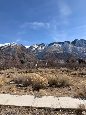1664 N Dean Ct #5, Alpine, UT 84004 photo 12