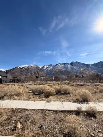 1664 N Dean Ct #5, Alpine, UT 84004 photo 11