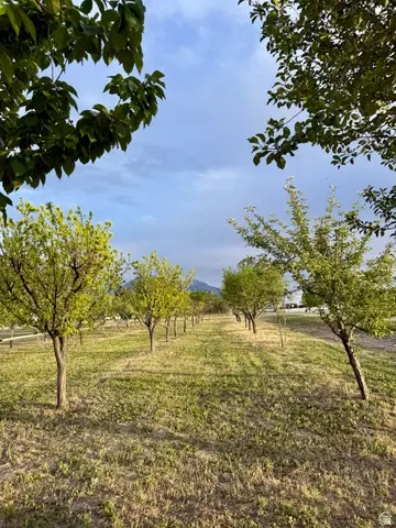 Other - 11363 S 5600 W, Payson, UT 84651 photo 12 of 13