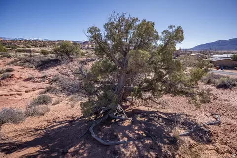 3239 Carroll Dr, Moab, UT 84532 photo 15