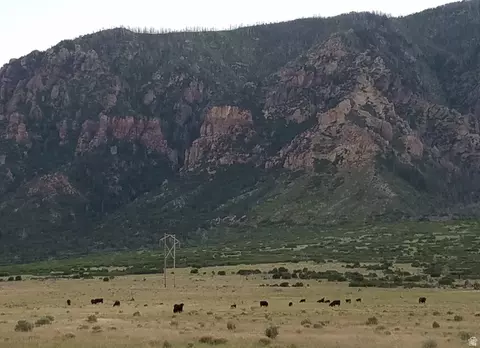 Parcel #5656, Scipio, UT 84656 photo 5