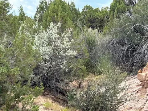 Undisclosed, Roosevelt, UT 84066 photo 5