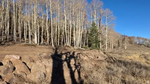 Undisclosed, Annabella, UT 84711 photo 3