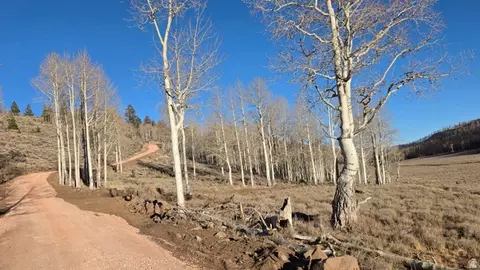 Undisclosed, Annabella, UT 84711 photo 7