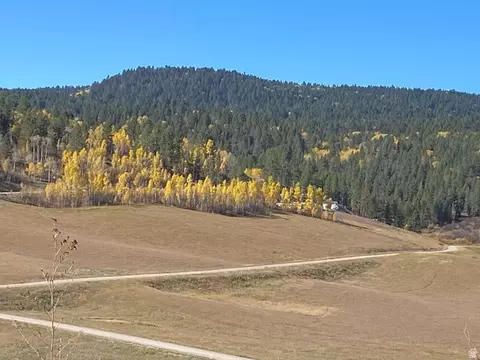 14 Elk Watch Ln #14, Freedom, WY 83120