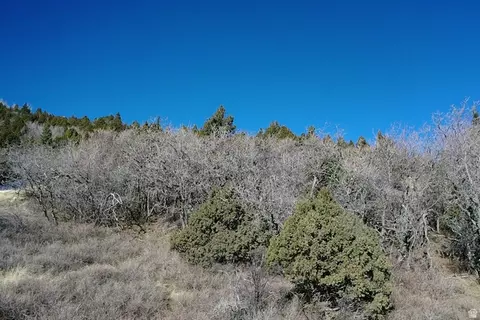 Undisclosed, Summit, UT 84772 photo 8