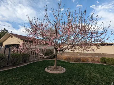 Exterior - 2088 N 450 W, Sunset, UT 84015 photo 9 of 13