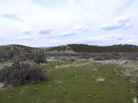 Undisclosed, Mount Pleasant, UT 84647