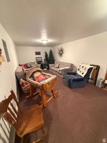 Other - 591 E 300 S, Mount Pleasant, UT 84647 photo 21 of 28