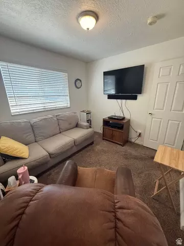 Other - 591 E 300 S, Mount Pleasant, UT 84647 photo 16 of 28
