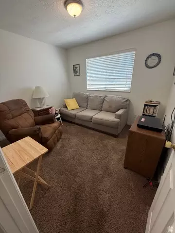 Other - 591 E 300 S, Mount Pleasant, UT 84647 photo 15 of 28