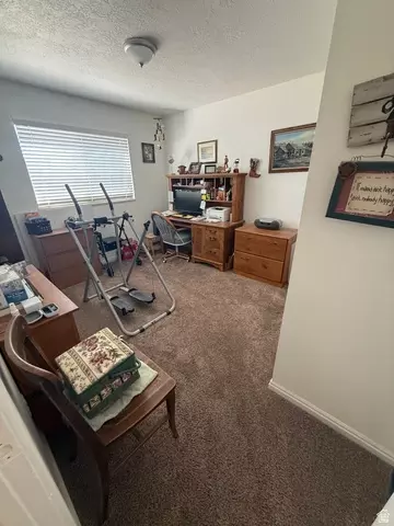 Other - 591 E 300 S, Mount Pleasant, UT 84647 photo 13 of 28