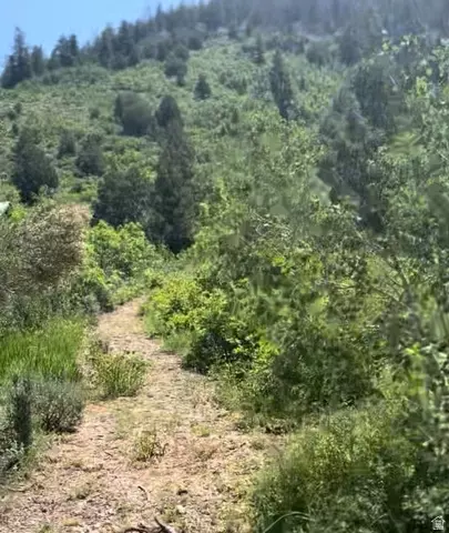 424 Beaver Creek Rd Hls #424, Kamas, UT 84036