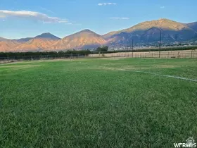 900 S Goosenest Dr, Payson, UT 84651