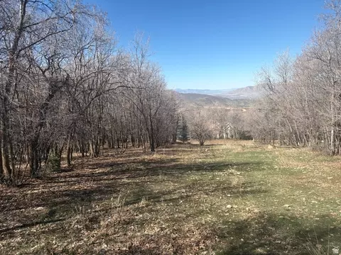 1040 S Pineview Rd #9, Woodland Hills, UT 84653
