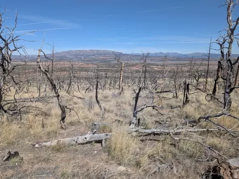 Undisclosed, Fruitland, UT 84027