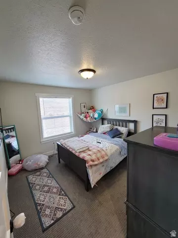 Other - 3373 E Wheat Ln, Eagle Mountain, UT 84005 photo 9 of 11