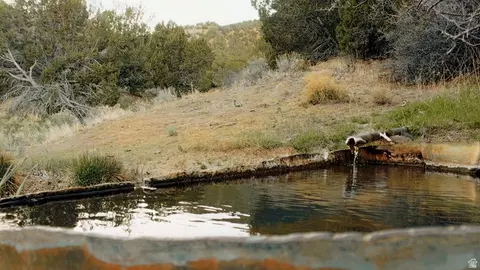 Undisclosed, Elberta, UT 84626