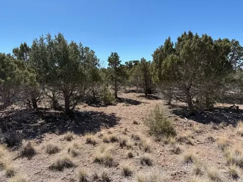 3500 N 1050 E, Beaver, UT 84713 photo 6