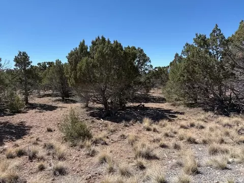 3500 N 1050 E, Beaver, UT 84713 photo 8
