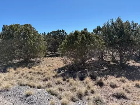 3500 N 1050 E, Beaver, UT 84713 photo 4