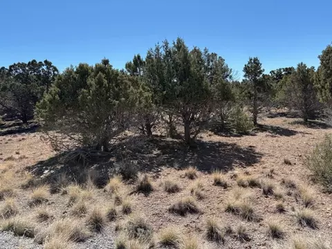 3500 N 1050 E, Beaver, UT 84713 photo 5
