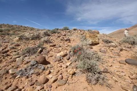 10495 E 7750 N, Lapoint, UT 84039 photo 40