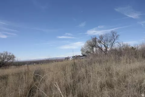 10495 E 7750 N, Lapoint, UT 84039 photo 29
