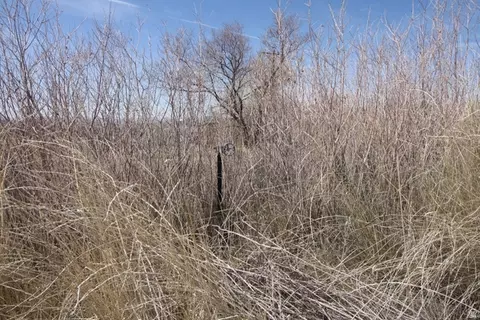 10495 E 7750 N, Lapoint, UT 84039 photo 31