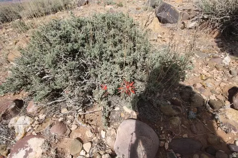 10495 E 7750 N, Lapoint, UT 84039 photo 13