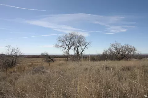 10495 E 7750 N, Lapoint, UT 84039 photo 28