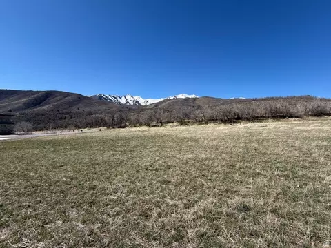 Undisclosed, Springville, UT 84663 photo 6
