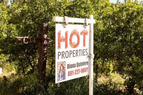 22310 N Cedar Dr #C-14, Fairview, UT 84629 photo 32