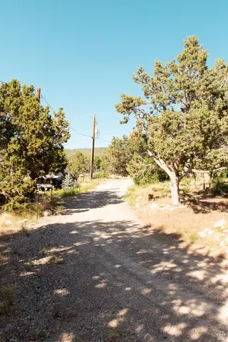 22310 N Cedar Dr #C-14, Fairview, UT 84629 photo 4