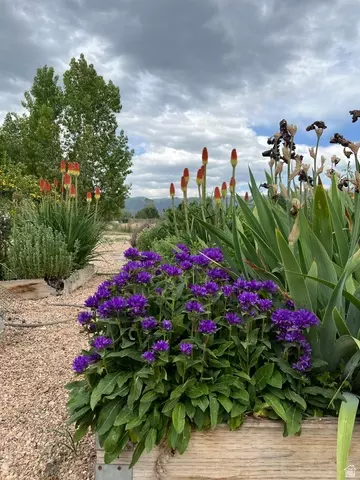 Other - 430 E 100 N, Mount Pleasant, UT 84647 photo 3 of 17