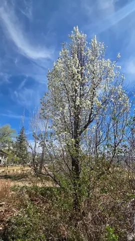 Other - 430 E 100 N, Mount Pleasant, UT 84647 photo 16 of 17