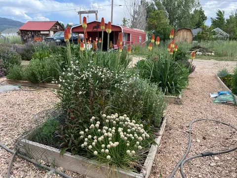 Exterior - 430 E 100 N, Mount Pleasant, UT 84647 photo 4 of 10