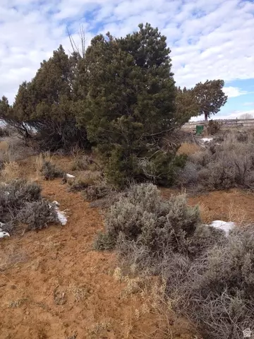 1345 S 1070 E, Boulder, UT 84716 photo 6