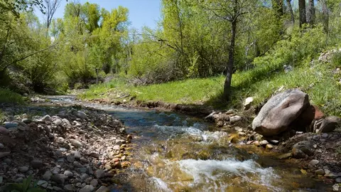 5155 E Canyon Rd, Morgan, UT 84050